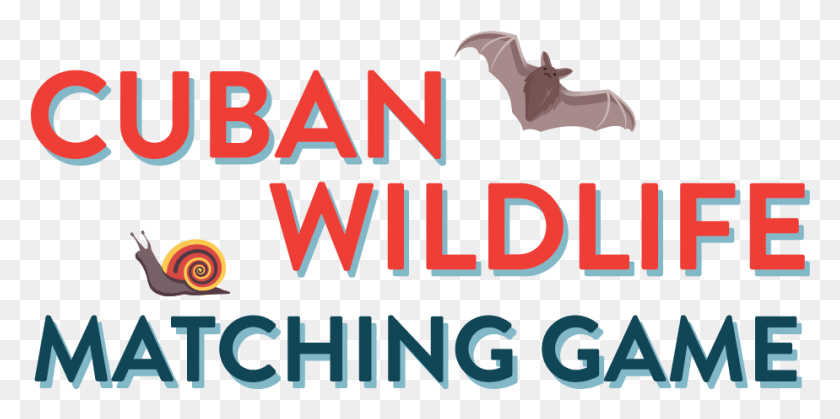 924x426 Biodiversity Gt Cuban Wildlife Matching Game, Animal, Mammal, Bat HD PNG Download