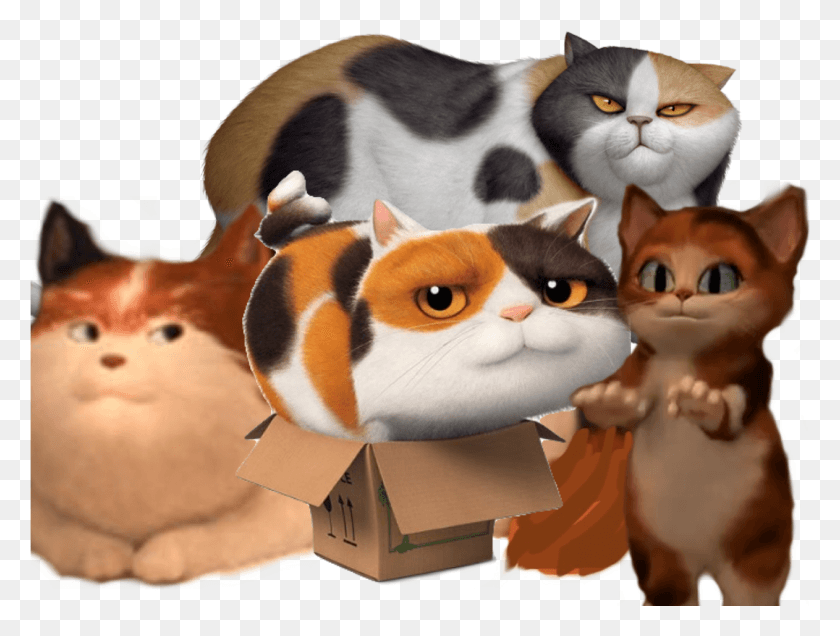 1262x932 Biological Inaccuracies In Animal Characters Cartoonanimalcolorations Domestic Short Haired Cat, Pet, Mammal, Toy HD PNG Download