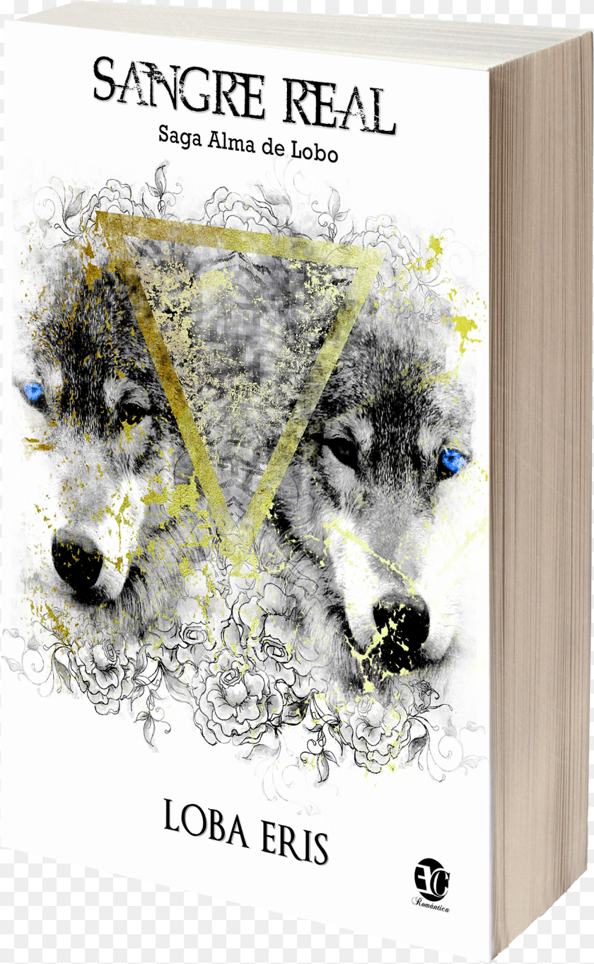 Birch, Book, Publication, Animal, Cat Transparent PNG