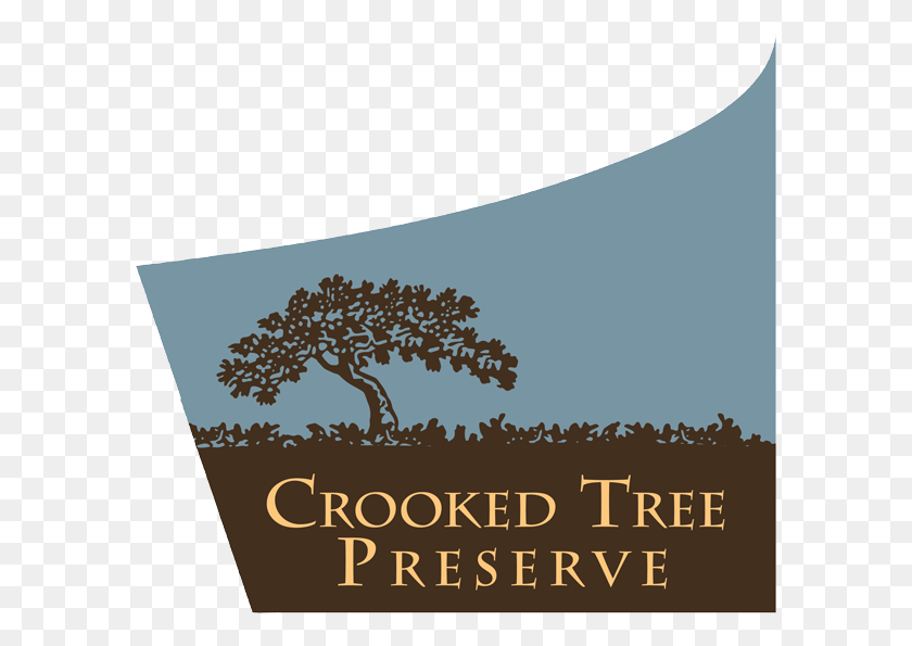 592x535 Birch View Drive Crooked Tree Preserve Mason, Plant, Text, Poster HD PNG Download