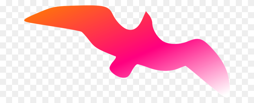 680x340 Bird Person Transparent PNG