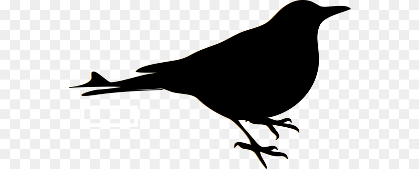 Bird Electronics, Hardware Transparent PNG