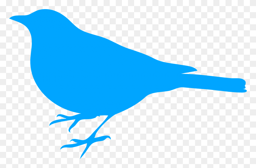 1280x810 Bird Blue Silhouette Image Bird Silhouette Clip Art, Animal, Sea Life, Canary HD PNG Download