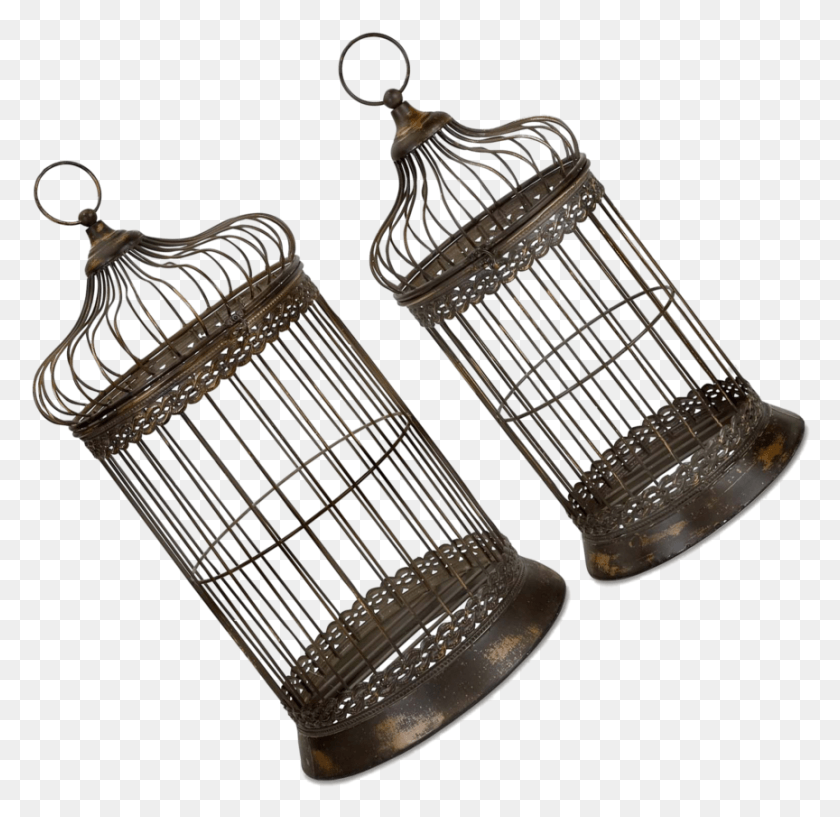 864x839 Bird Cage, Clothing, Apparel, Bronze HD PNG Download
