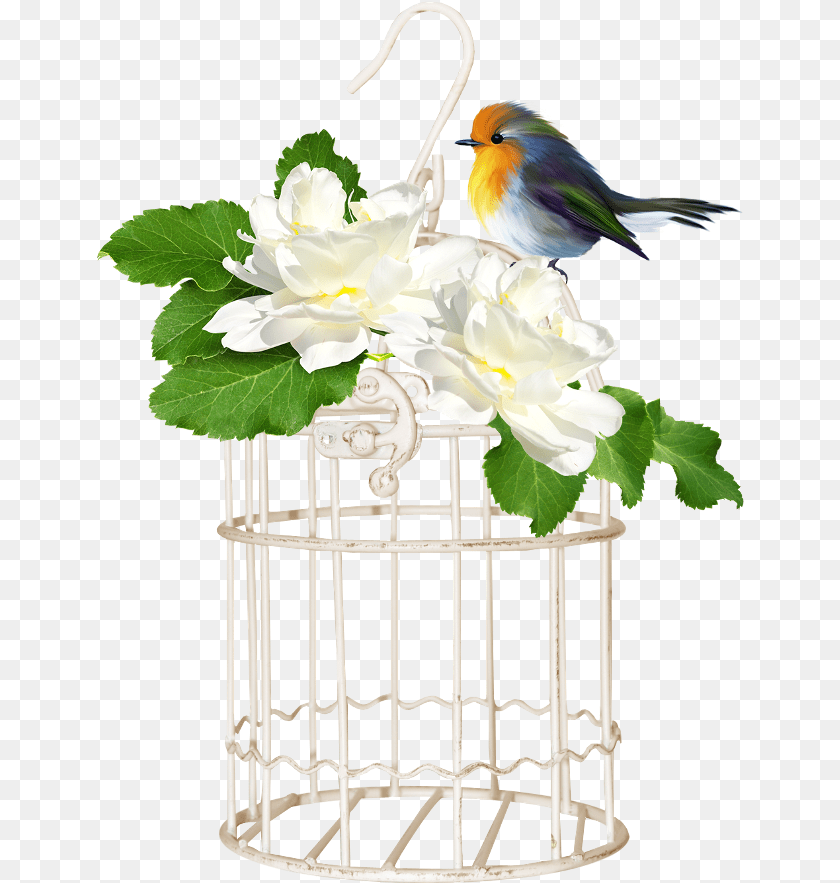 648x883 Bird Cage Cage 650x950 Clipart Download, Animal, Finch, Jay Transparent PNG