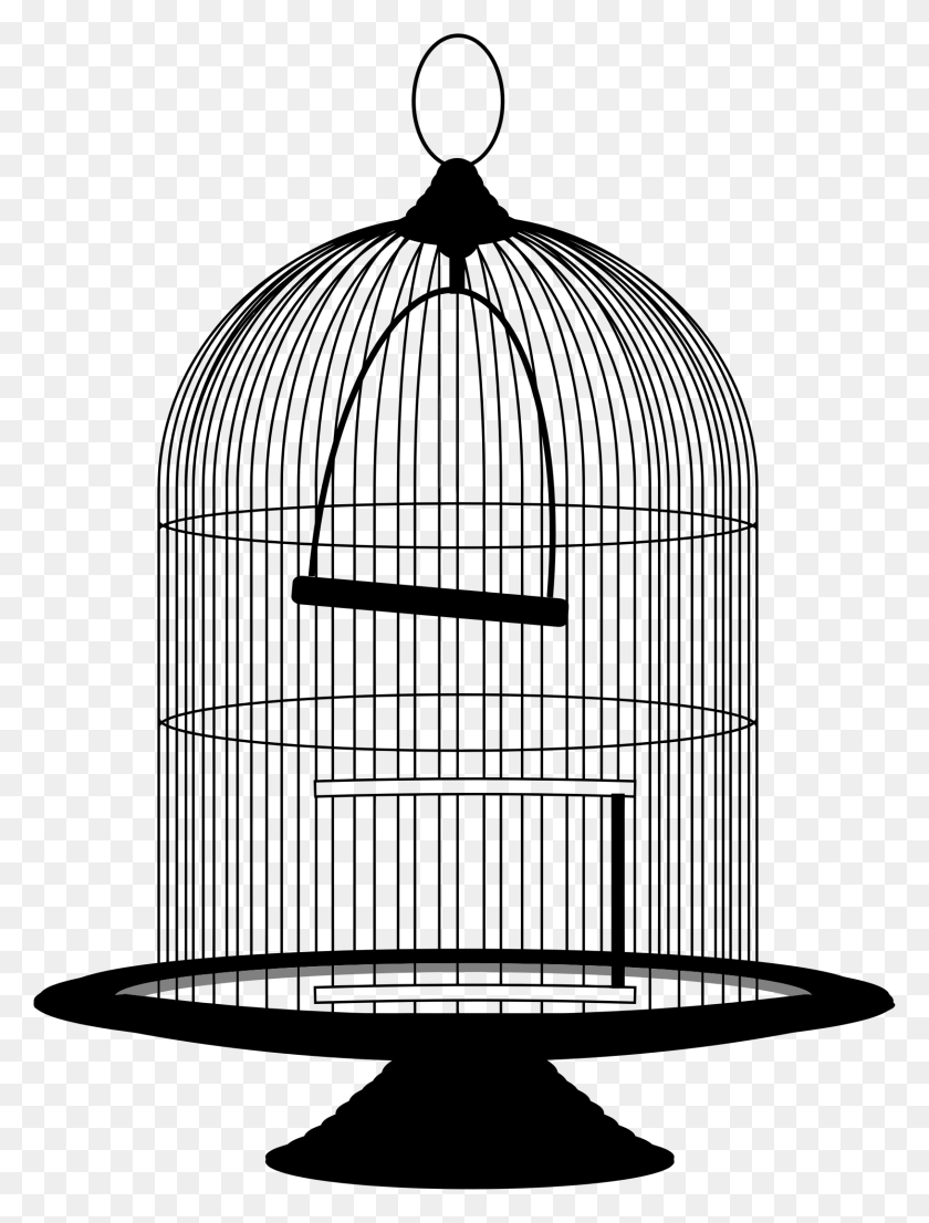 1629x2185 Bird Cage Clipart Bird In Cage, Text, Screen, Electronics HD PNG Download