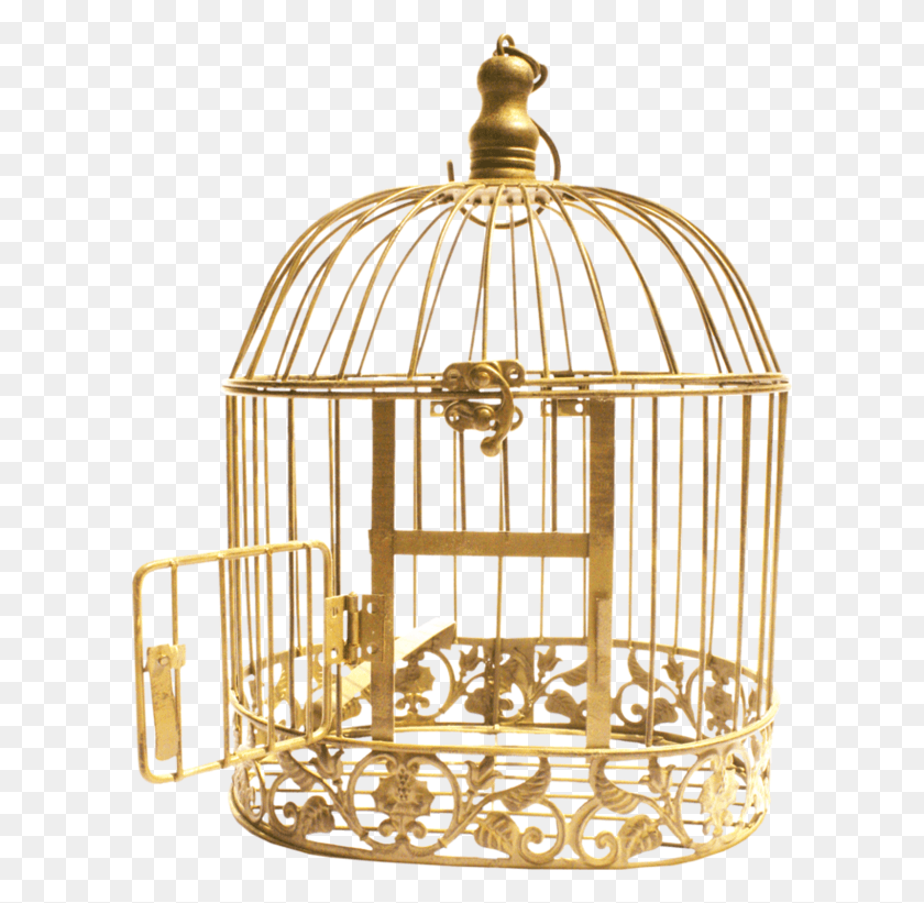 600x761 Bird Cage Gold, Gate, Chandelier, Lamp HD PNG Download