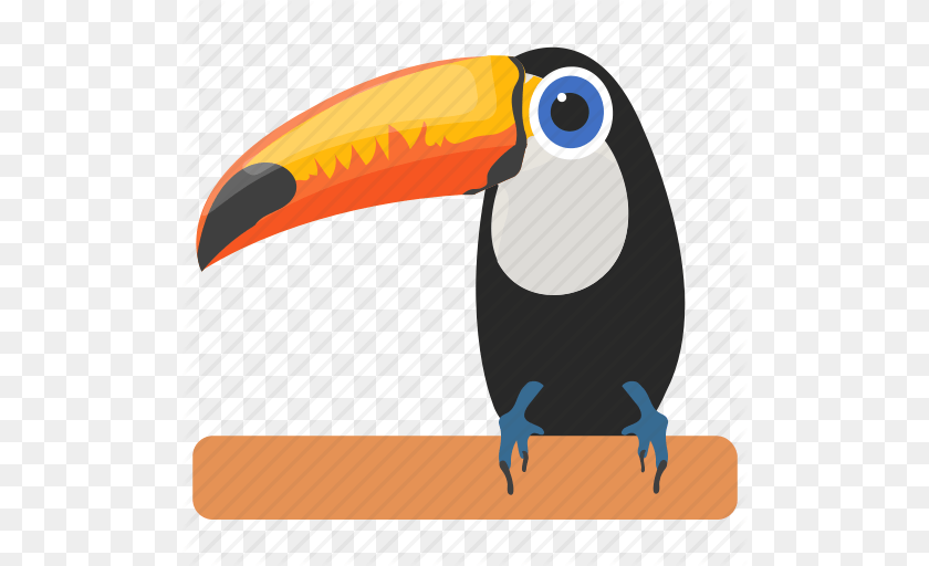 512x512 Bird Cartoon Toucan Ramphastidae Toco Toucan Toucan Icon, Animal, Beak PNG