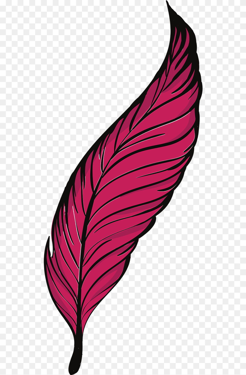 548x1281 Bird Clip Art Transprent Feather, Plant, Petal, Leaf, Flower PNG