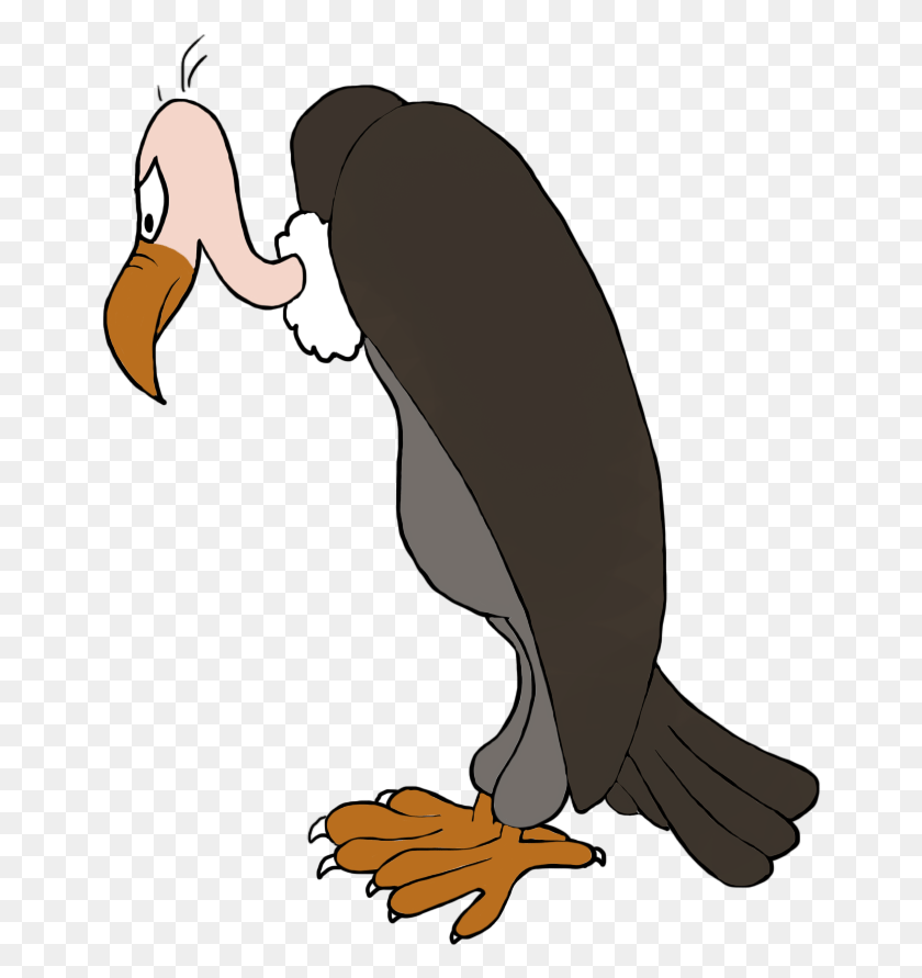 656x831 Bird Clip Art Vulture Silhouette In Color Transparent Vulture Clip Art, Animal, Penguin, Person HD PNG Download