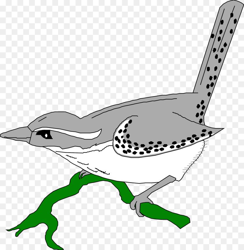 Bird Clipart, Animal, Wren, Jay, Fish Transparent PNG