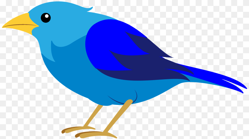 Bird Clipart, Animal, Fish, Jay, Sea Life PNG
