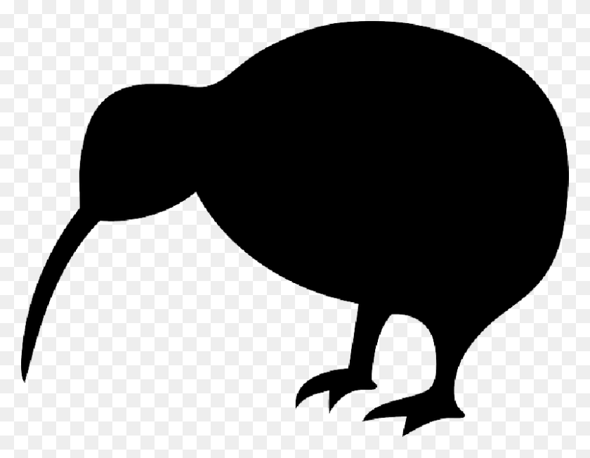 800x608 Bird Clipart Kiwi Kiwi Bird Black And White, Animal, Blow Dryer HD PNG Download
