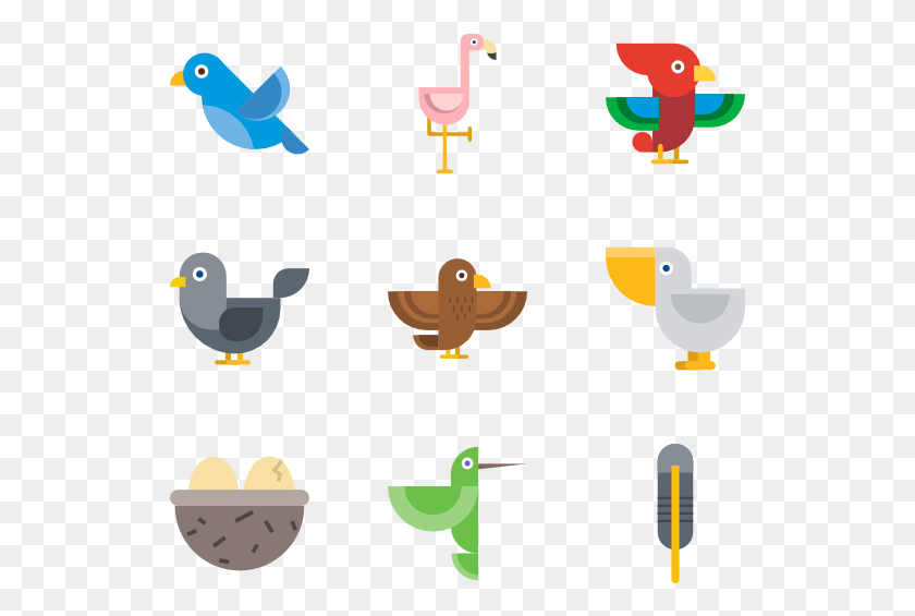 529x505 Colección De Aves, Icono De Aves, Animal, Texto, Cartel Hd Png