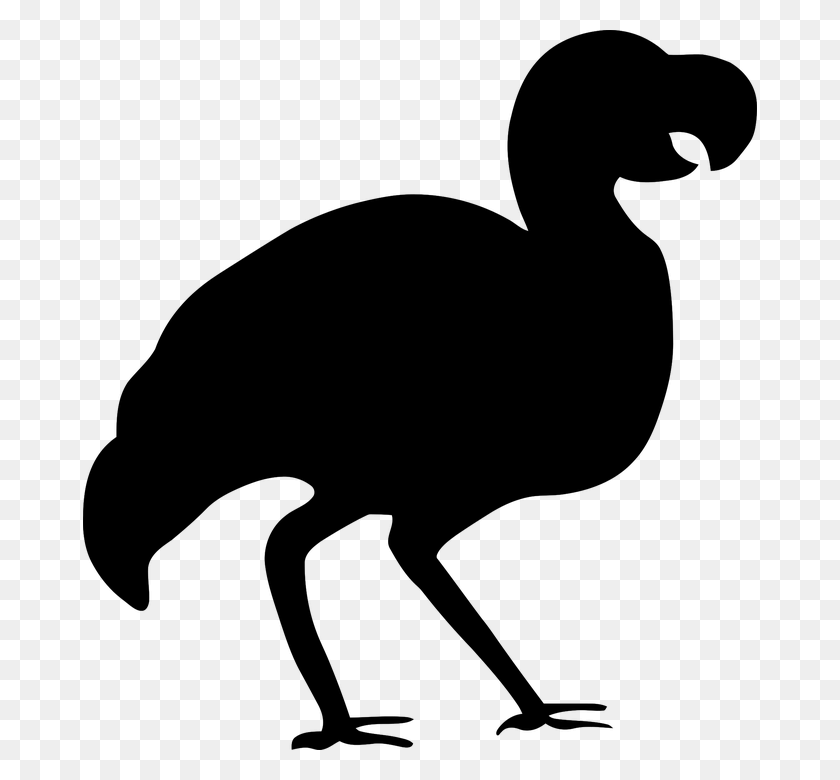 674x720 Bird Dodo Silhouette Dodo Bird Silhouette, Gray, World Of Warcraft HD PNG Download