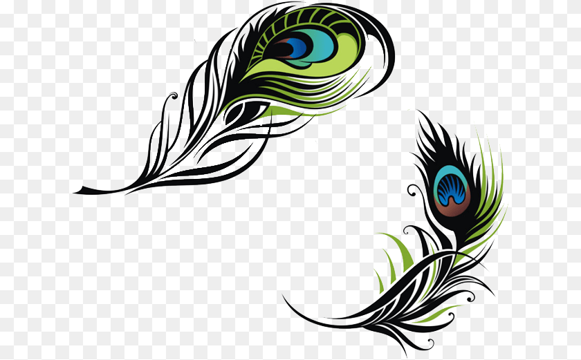 Bird Feather Peafowl Euclidean Vector Vector Peacock Feather, Art, Graphics, Pattern, Floral Design Transparent PNG