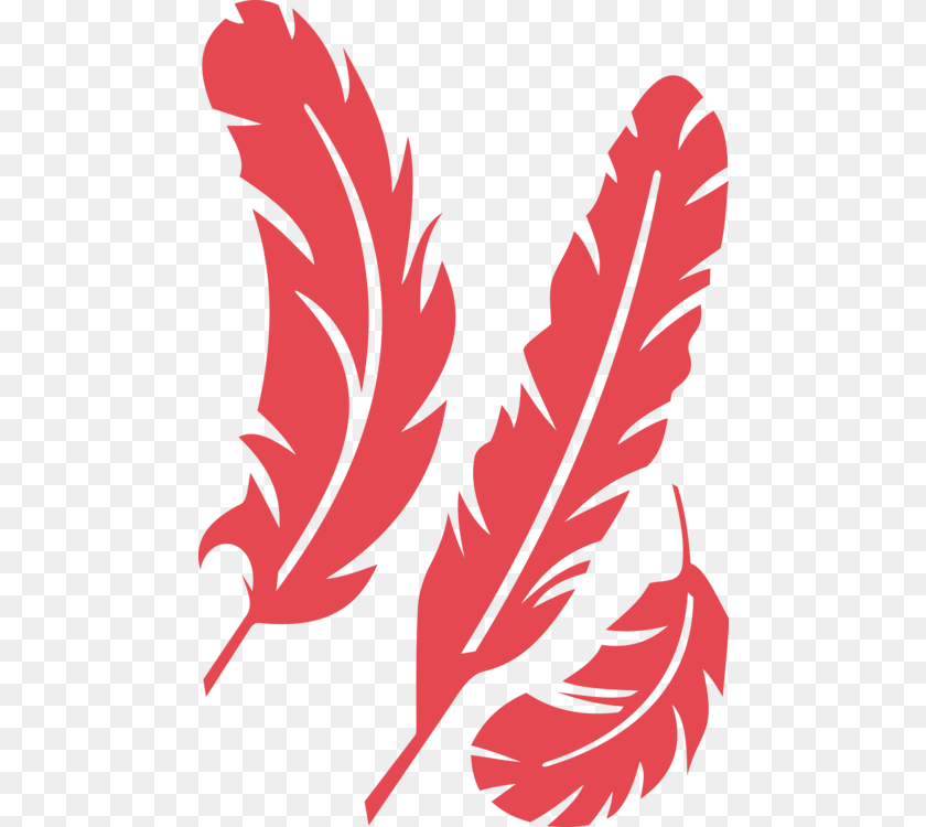 481x750 Bird Feather Stencil Drawing Art, Leaf, Plant, Person, Face Transparent PNG