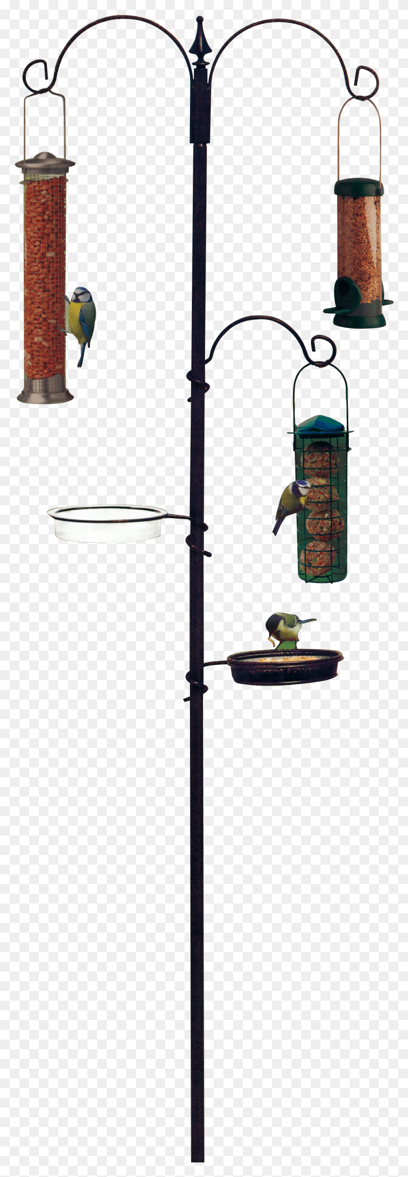1359x4118 Bird Feeding Station Stabilisers Outdoor Backyard Gardman Parrot, Shower Faucet, Lamp Post, Lamp HD PNG Download