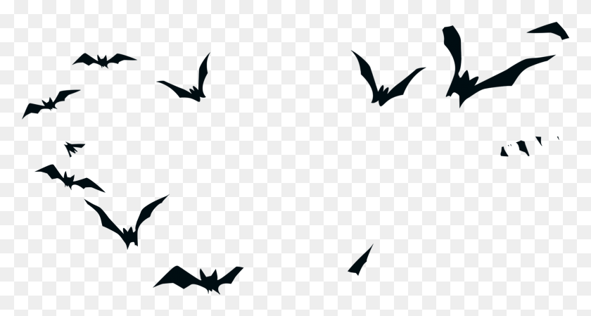 2092x1045 Bird Halloween Silhouette Black Bat Transprent Bats Silhouette, Animal, Wildlife, Mammal HD PNG Download