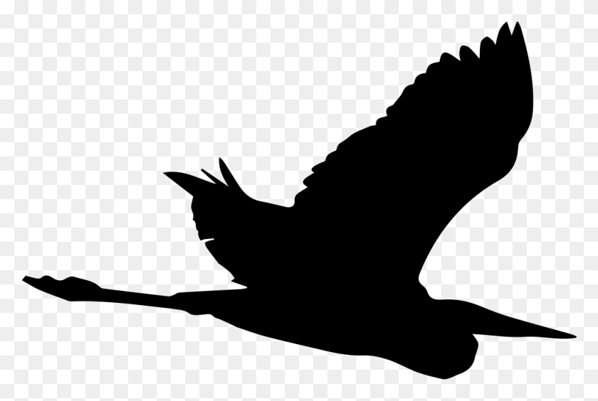 981x634 Bird Heron Flying Shape Comments Garza Silueta, Eagle, Animal HD PNG Download