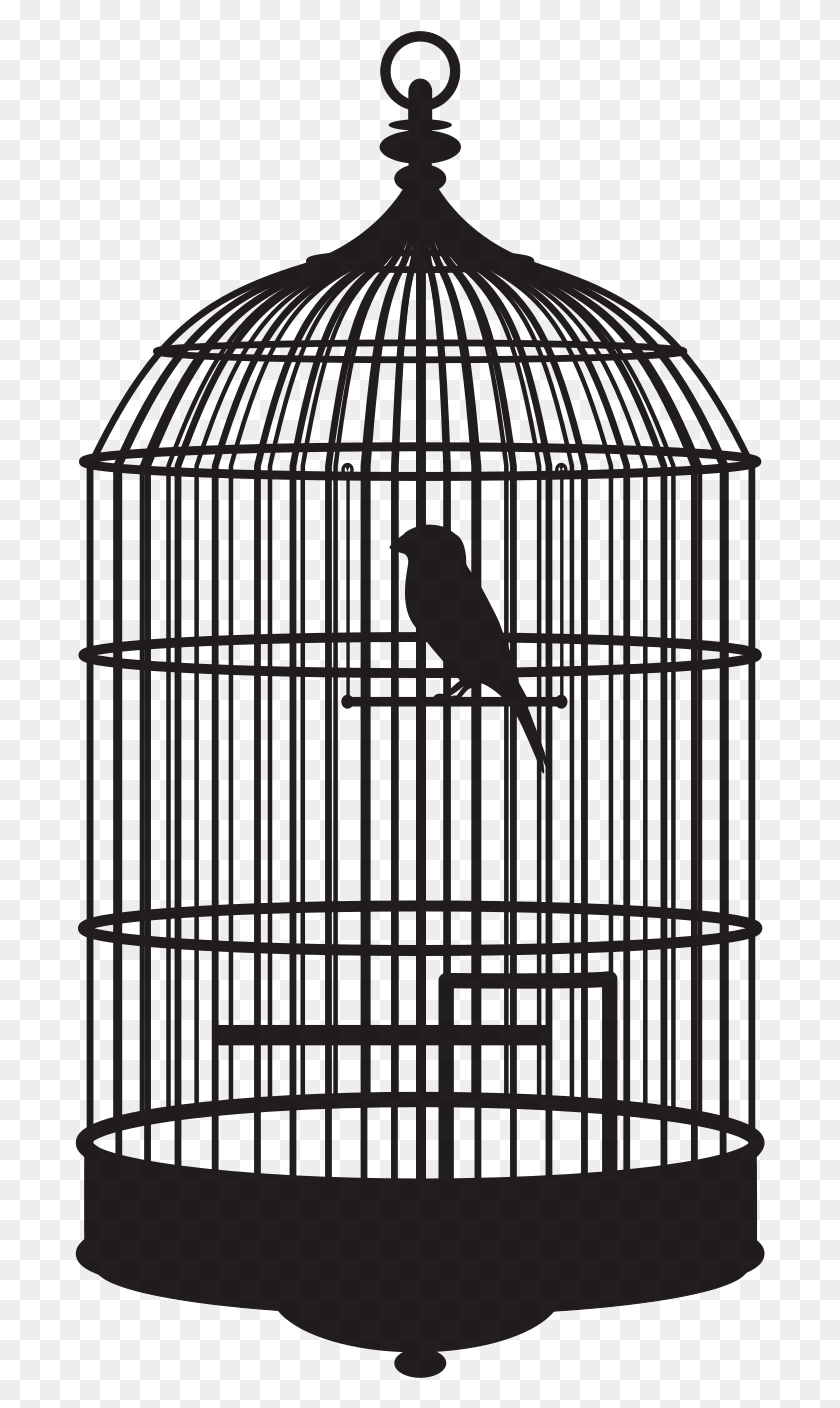 691x1348 Птица В Клетке Птица В Клетке, На Открытом Воздухе, Текст, Природа Hd Png Скачать