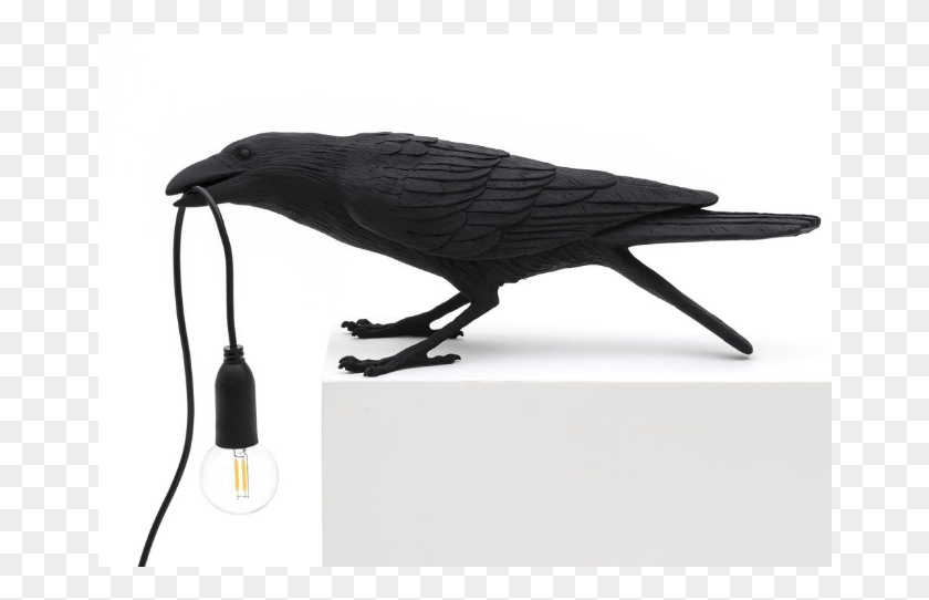664x482 Bird Lamp Playing Seletti Bird, Животное, Ворона, Черный Дрозд Png Скачать