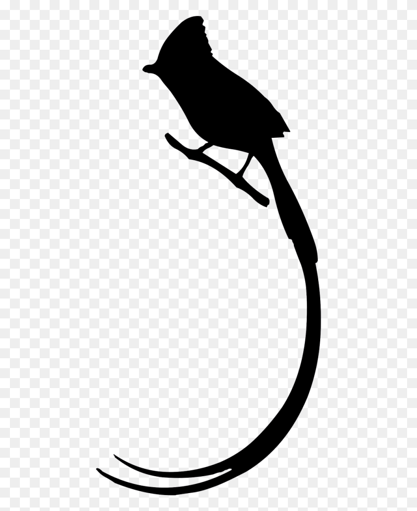 457x967 Bird Long Tail Vector, Sport, Sports, Face HD PNG Download