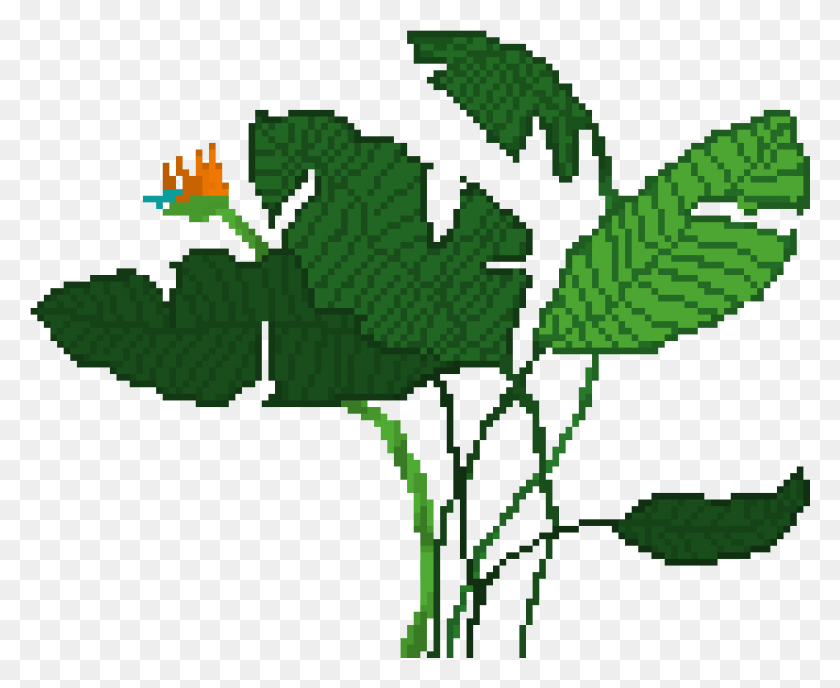 1181x951 Иллюстрация Растения Райская Птица, Лист, Игрушка, Зеленый Hd Png Скачать