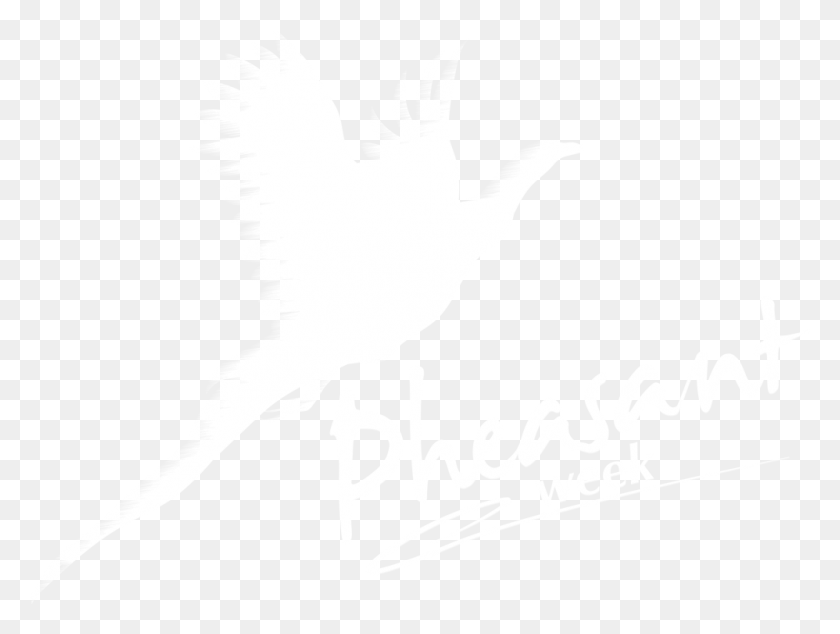 998x735 Bird Of Prey, Logotipo, Símbolo, Marca Registrada Hd Png