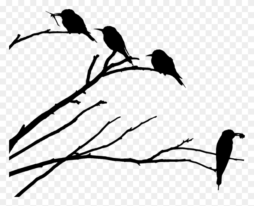 901x720 Bird On Branch Bee Eater Silhouette Images Bee Silhouette Birds On A Branch, Gray, World Of Warcraft HD PNG Download