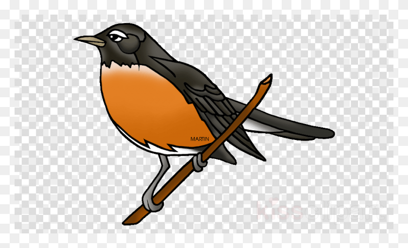 900x520 Pájaro Robin Png / Aves Png