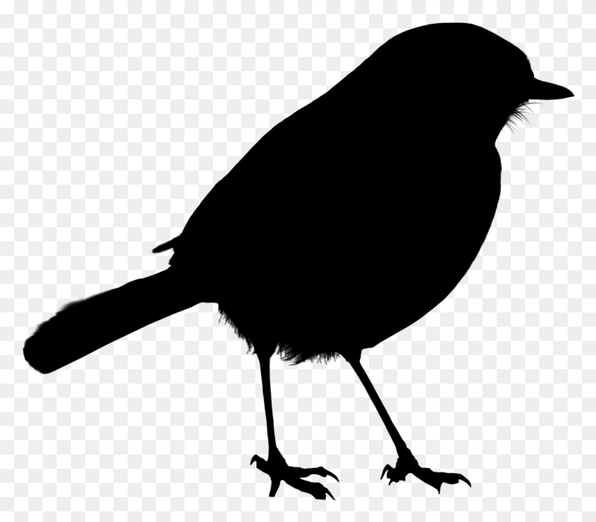 1138x986 Bird Silhouette Bird On Twig Silhouette Transparent Background, Gray, World Of Warcraft HD PNG Download