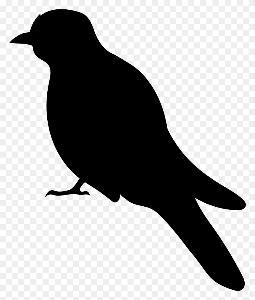6484x7739 Bird Silhouette Clip Art Image, Gray, World Of Warcraft HD PNG Download