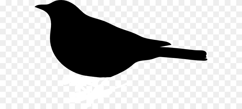 600x380 Bird Silhouette Downloads, Animal, Blackbird, Stencil, Smoke Pipe PNG