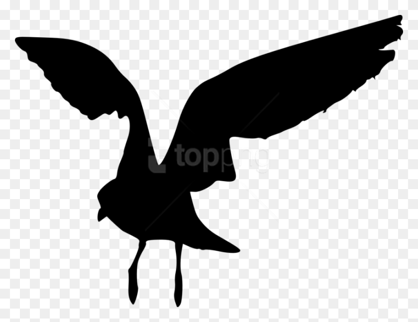 850x640 Bird Silhouette Sea Bird Silhouette, Flying, Bird HD PNG Download