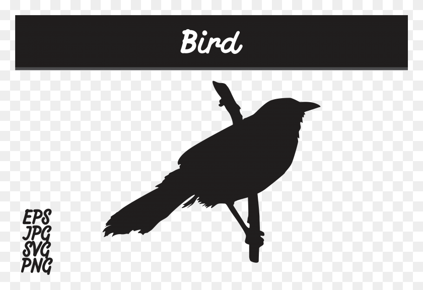 7515x4974 Bird Silhouette Svg Vector Image Graphic By Arief Sapta Batik Mega Mendung Vector, Bird, Animal HD PNG Download