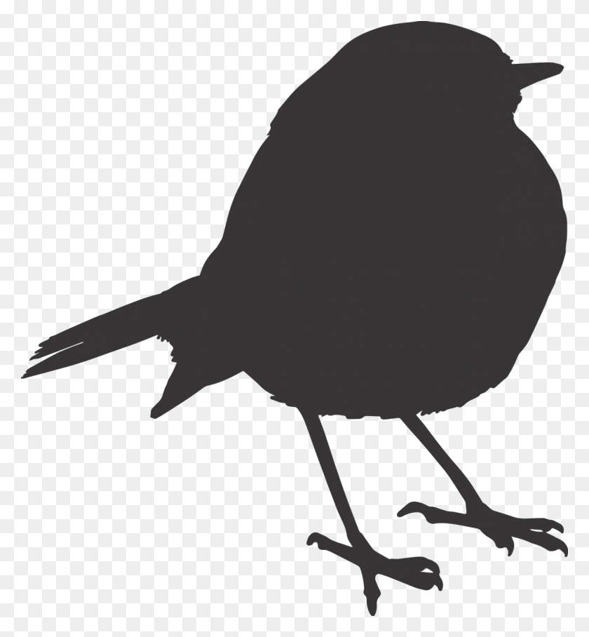 1177x1280 Bird Sparrow Silhouette Orange Image Robin Bird, Animal, Text HD PNG Download