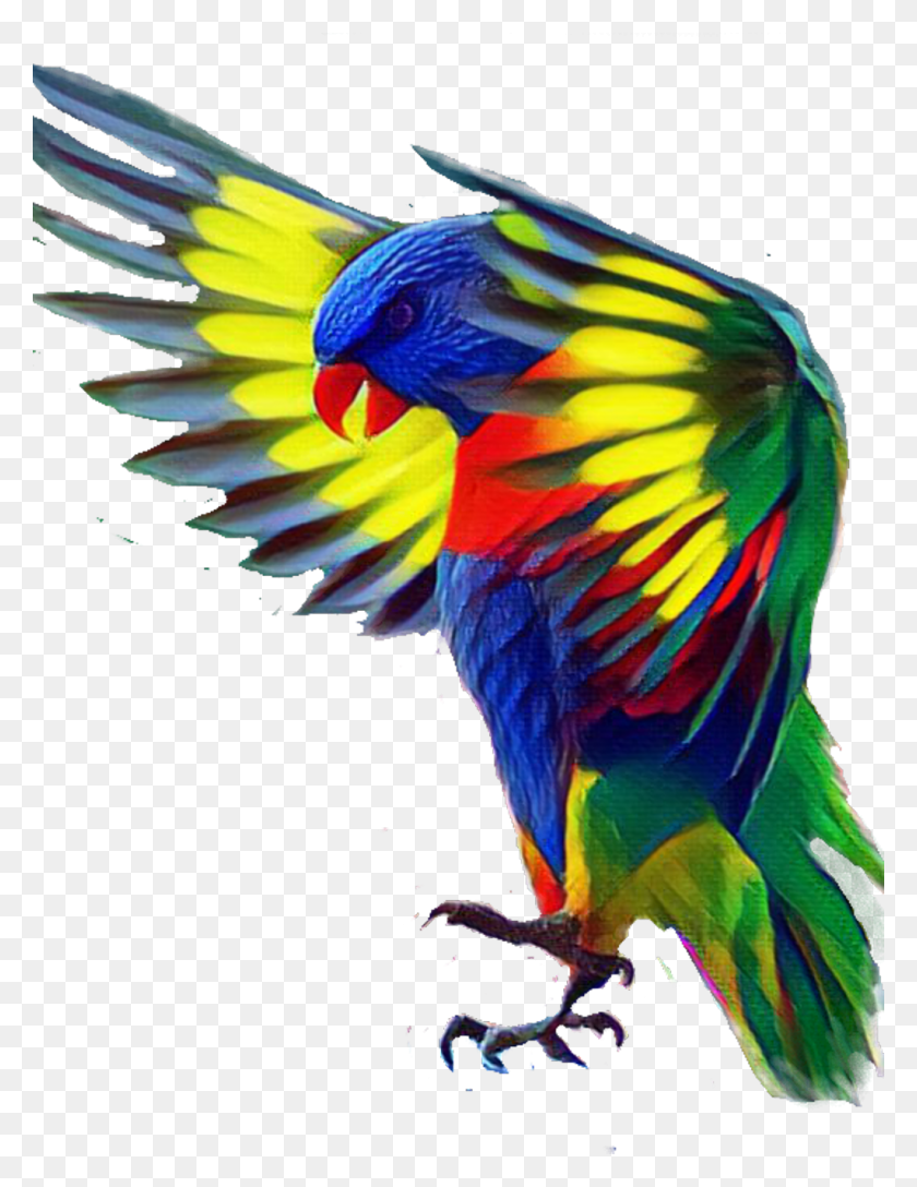 1024x1350 Bird Sticker Animales Con Colores Bellos, Animal, Parrot, Macaw HD PNG Download