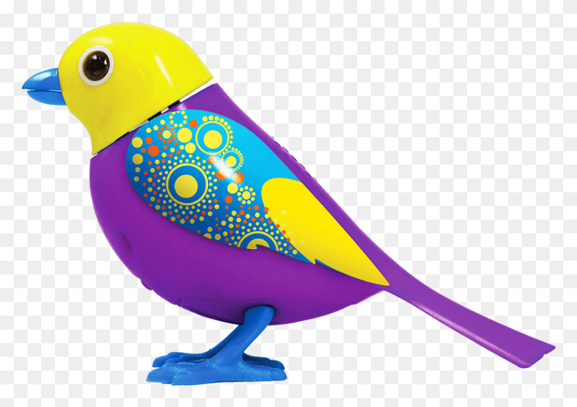 837x573 Pájaro Png / Pájaro Png