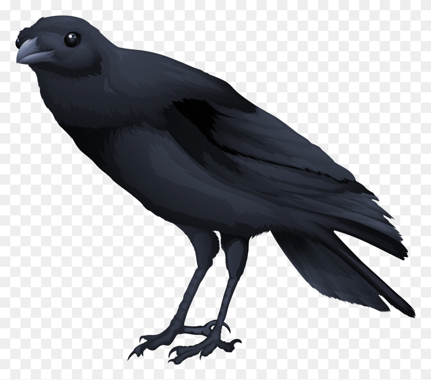 3913x3419 Bird Transparent Background Raven Gif, Animal, Crow, Blackbird HD PNG Download