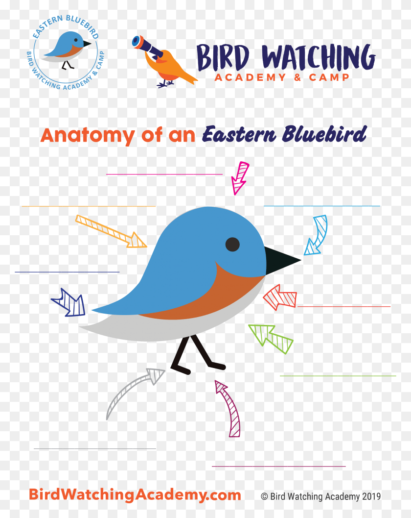 2458x3143 Bird Watching Academy Amp Camp Subscription Boxes Imagenes De Educacion Fisica, Text, Nature, Outdoors HD PNG Download