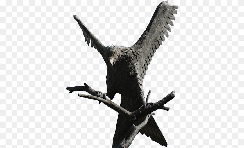 389x510 Bird Watching In The Area Red Kites And More Bird Statue, Animal, Cormorant, Waterfowl, Vulture Sticker PNG