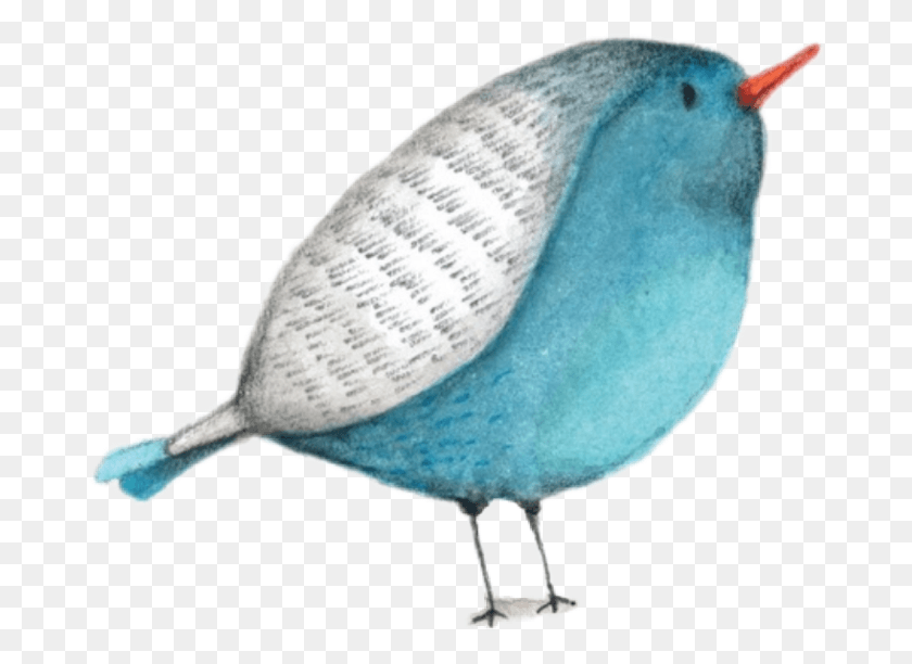 677x552 Bird Watercolor Cute Fat Bluebird Clipart Of Whimsical Birds, Animal, Jay, Blue Jay HD PNG Download