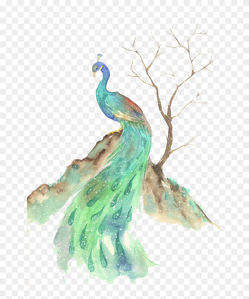 658x949 Bird Watercolor Painting Illustration Bird Paint, Animal, Peacock HD PNG Download
