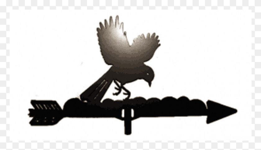 801x436 Bird Weathervane Eagle, Animal, Flying HD PNG Download