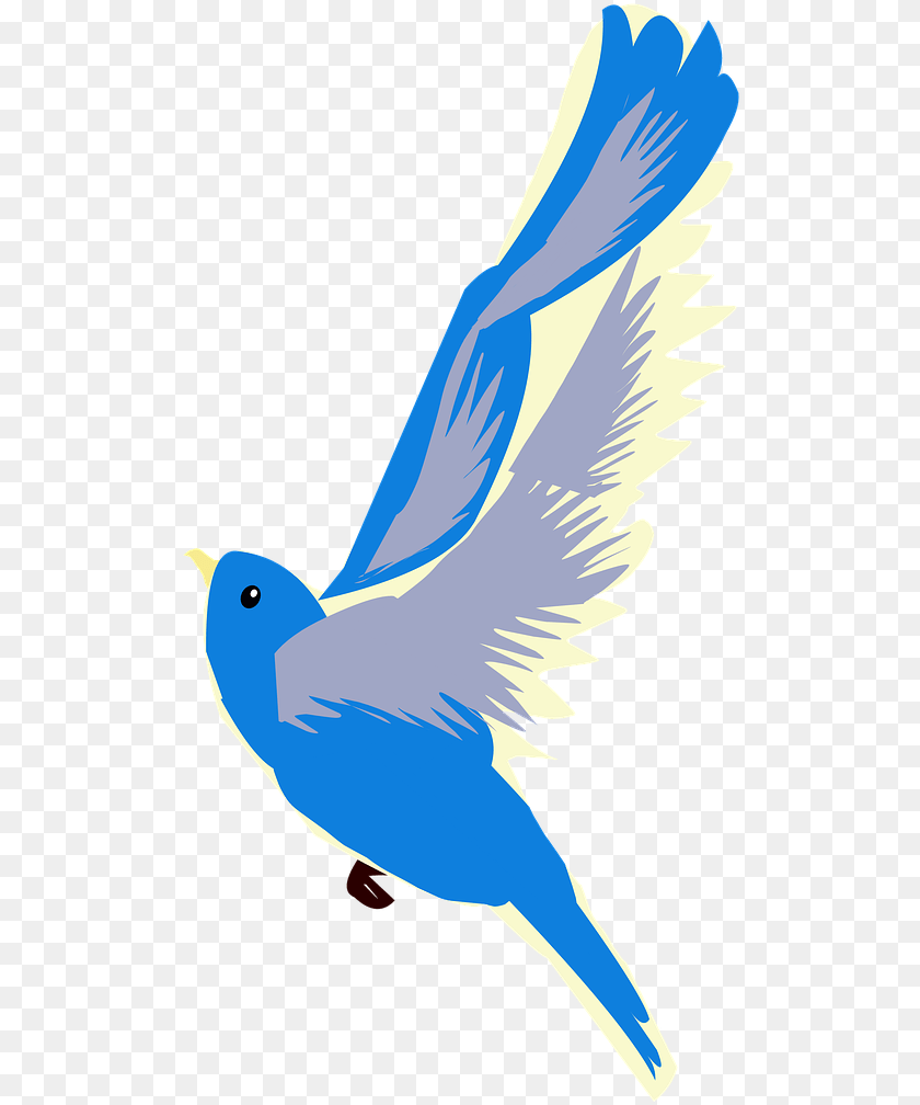 513x1008 Birdblue Birdflyingnatureoutdoors From Blue Bird Flying Transparent, Animal, Person, Jay Sticker PNG