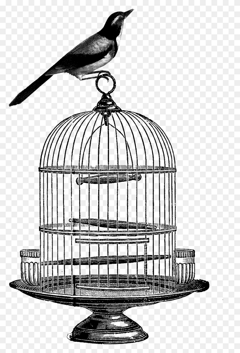 1479x2227 Birdcage Clip Art Bird Bird In Cage Transparent, Lamp, Chandelier, Architecture HD PNG Download