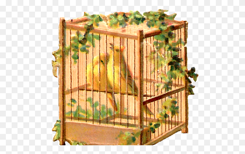 531x469 Birdcage Clipart Animal Shelter Cage, Gate, Furniture, Screen HD PNG Download