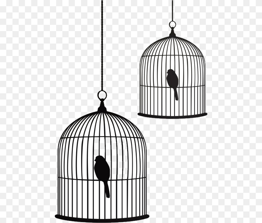 492x717 Birdcage Stencil Drawing Bird And Cage Drawing, Animal, Lamp, Ping Pong, Ping Pong Paddle Sticker PNG