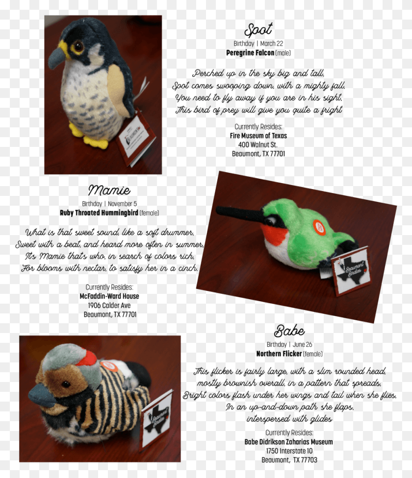 963x1132 Birdies2 Accipitridae, Bird, Animal, Toy HD PNG Download